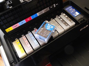 Epson Ink Cartridges and printer